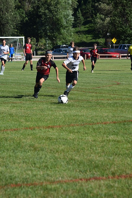 在中前场扮 在中前场扮